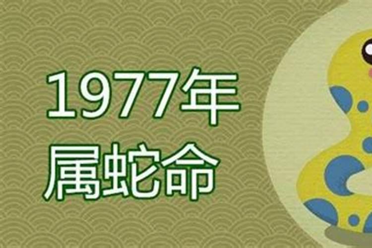 1977年出生属什么