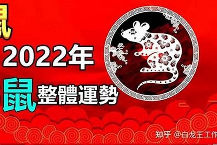 96年属鼠人今年运势怎么样