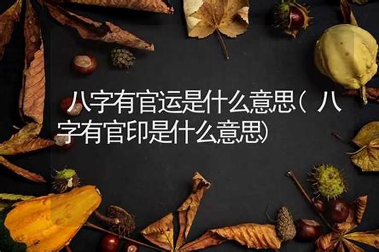 算命有官印什么意思