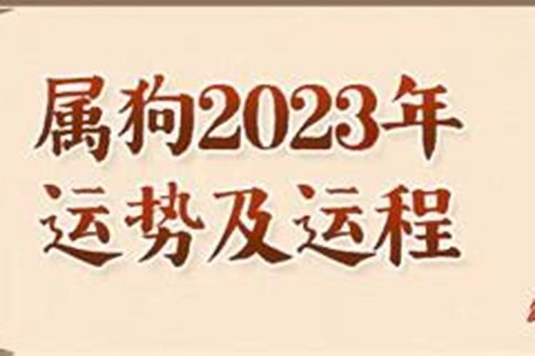 2023属狗人全年运势女