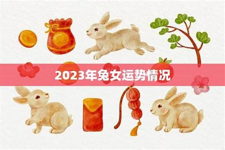 2023年生肖兔运势女