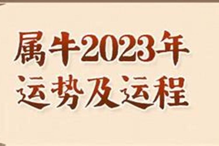 属牛人2023年运势完整版