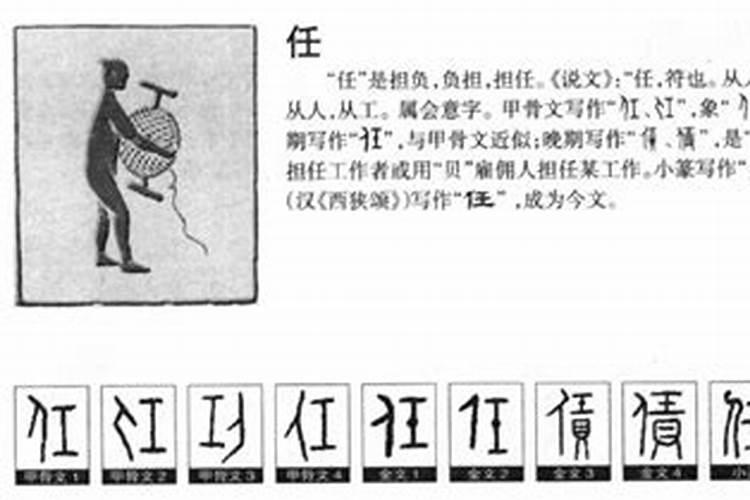 任字五行属什么