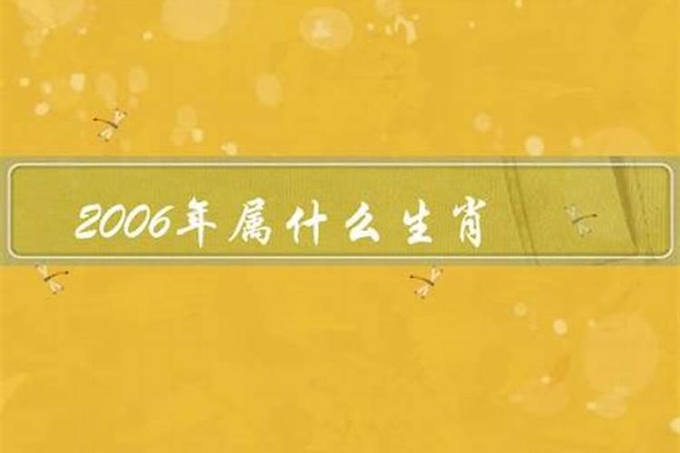 2006属什么