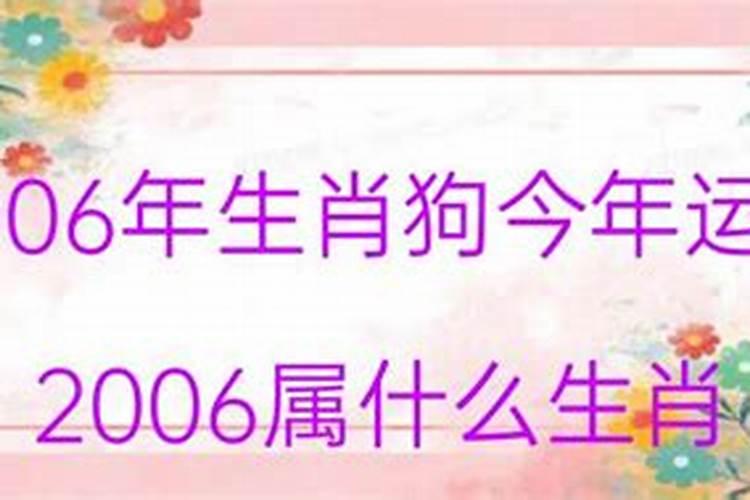 06年属什么生肖年今年多大2022