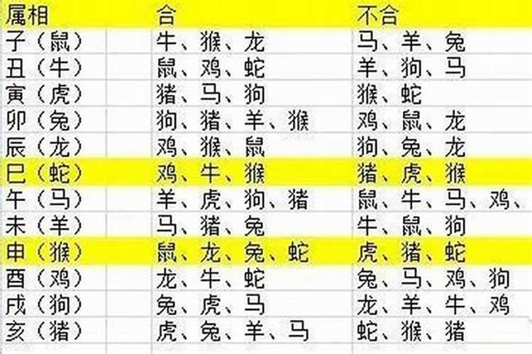 2023年出生的宝宝生肖属什么呀