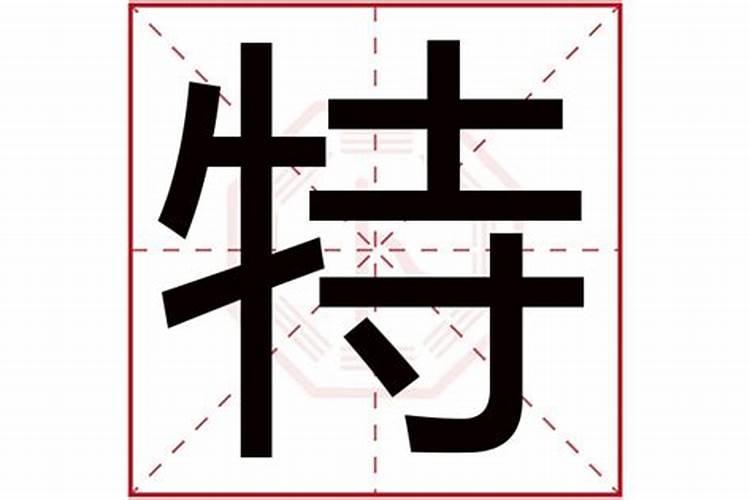 特字五行属什么