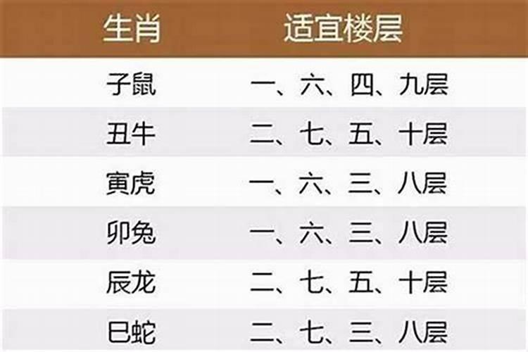 十二生肖适合居住的楼层是多少