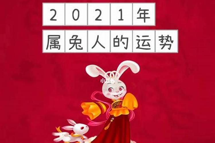 算命属兔2021年运势