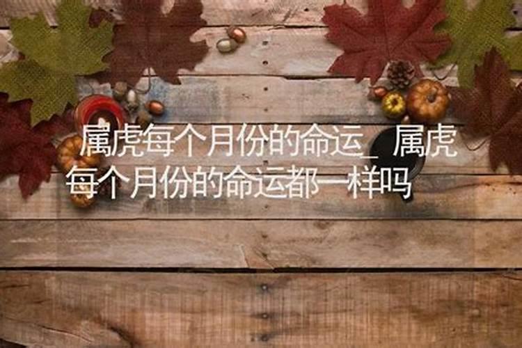 每个属相禁忌的出生月份