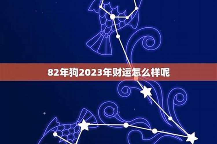 82年属狗2023年财运