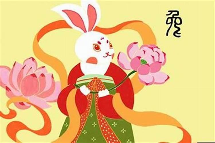 属相兔今年运气