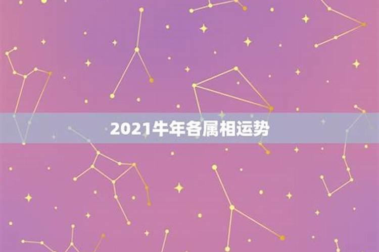 十二生肖2021年8月11日运势