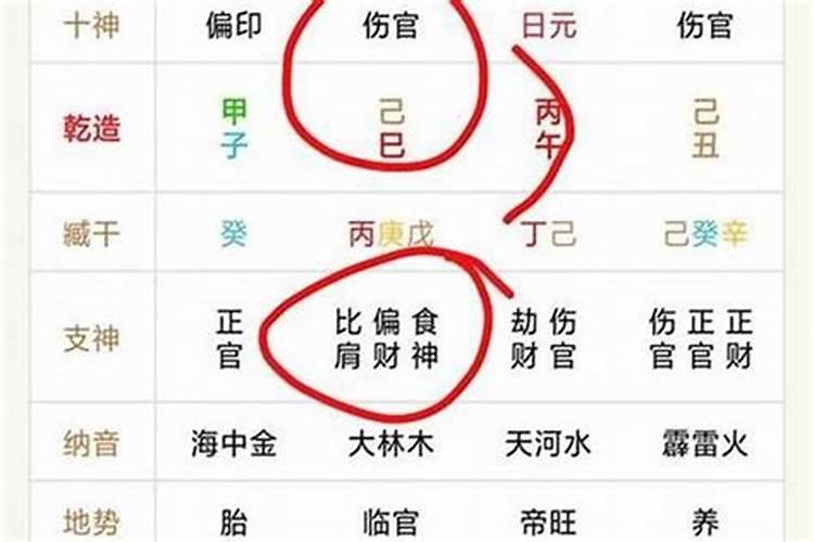 算命的说我伤官是什么意思