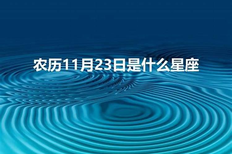 3.11是什么星座