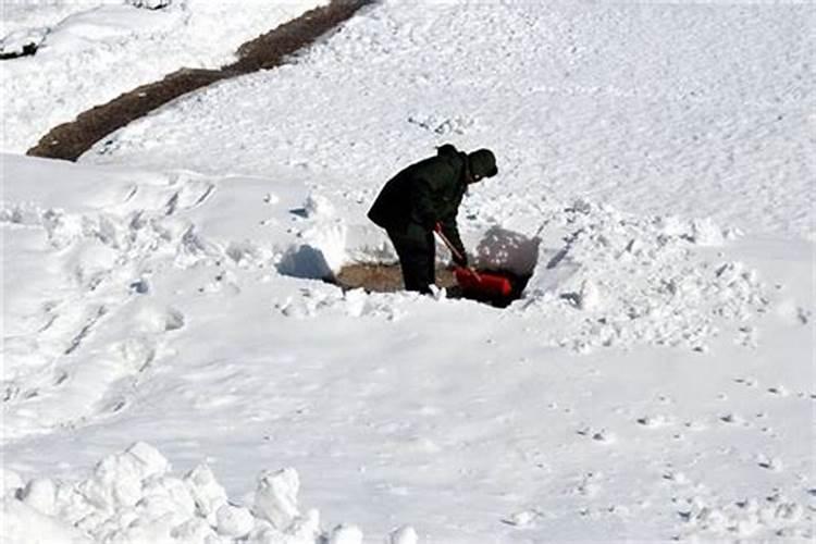 梦到自己铲雪是什么意思啊解梦