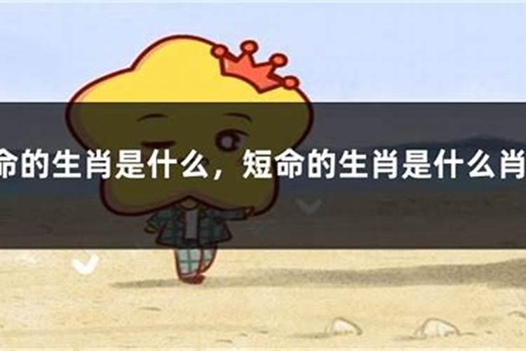 什么生肖短命的