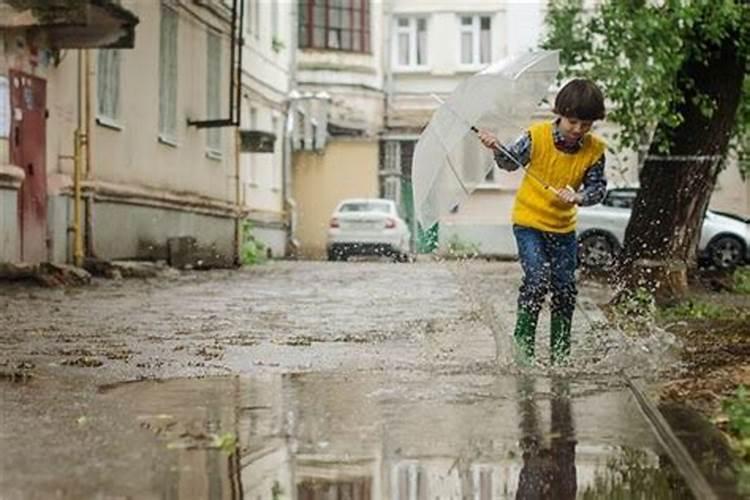 梦见下雨求解