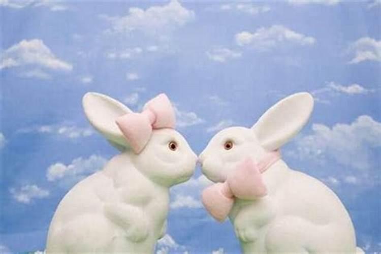 兔和哪个生肖合适婚姻