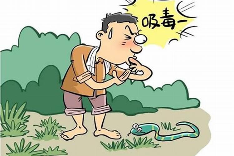 梦到一条小蛇咬我腿