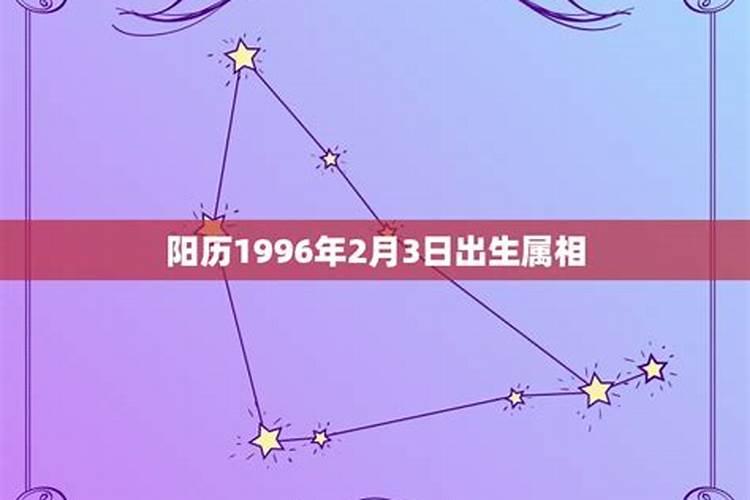 阳历1996年2月属什么