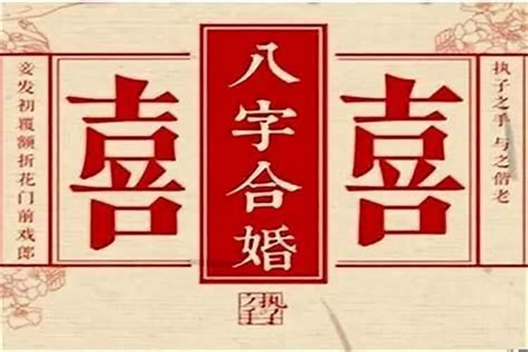 八字合婚哪里算得准一点