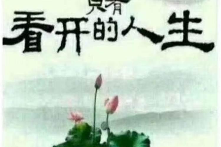 上等好命的八字