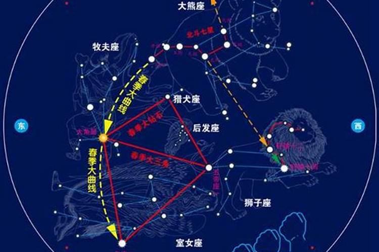 1月16什么星座