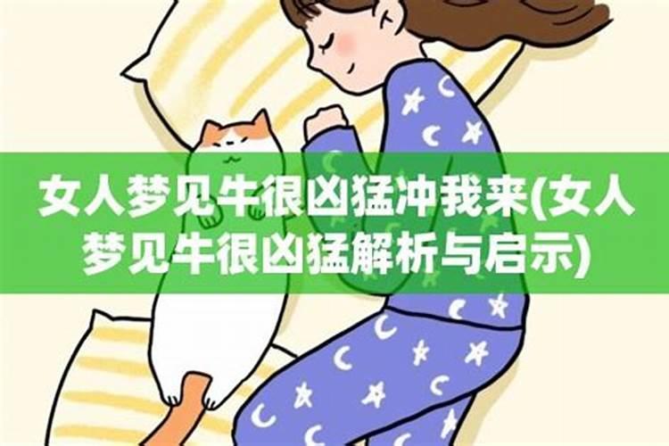 梦到牛向我冲来我避开了