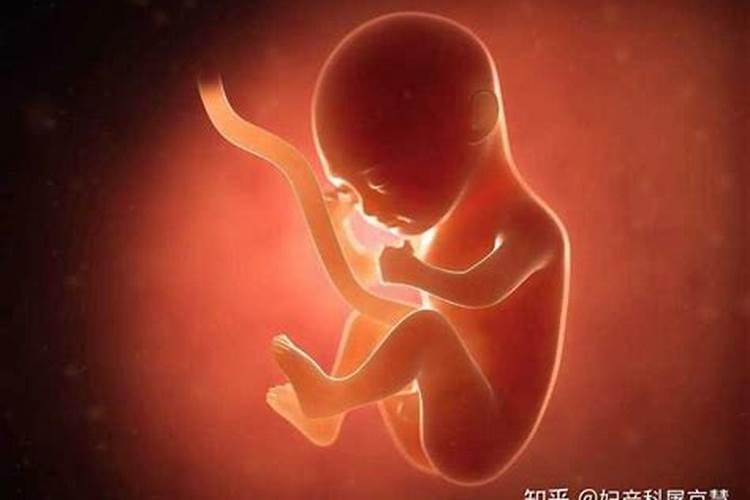 孕妇梦见自己的胎儿死了