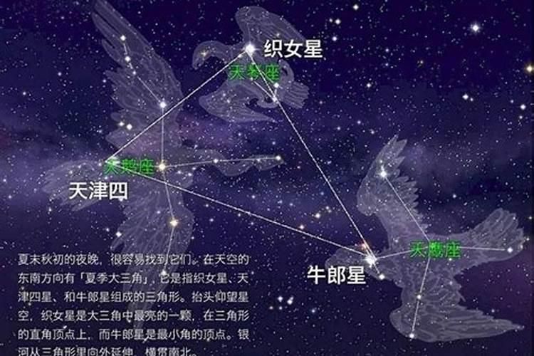 织女星是什么星座