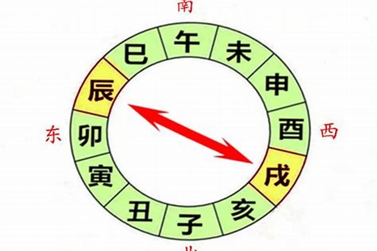 辰与未在八字中合不合