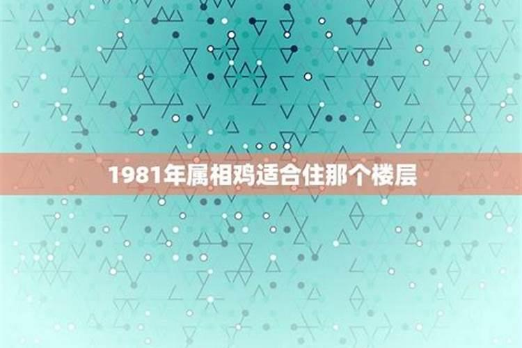 1981属鸡买房几楼吉利