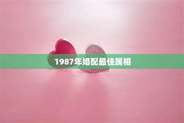 1987年婚配最佳属相