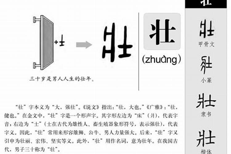 壮字五行属什么的