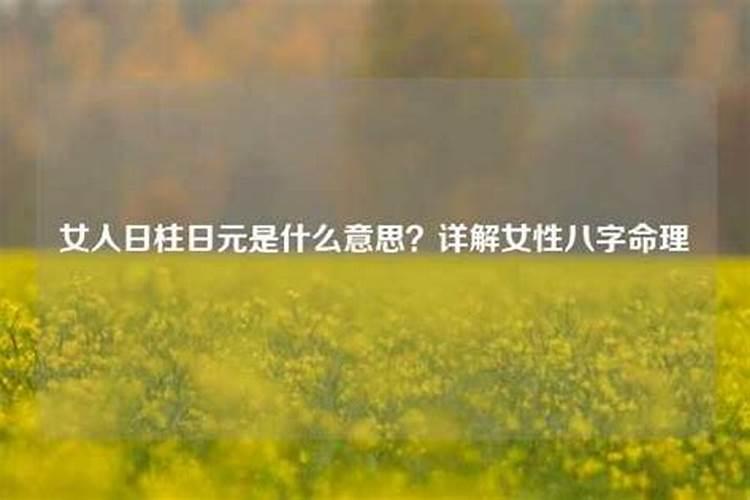 八字上的日元是什么意思啊怎么看