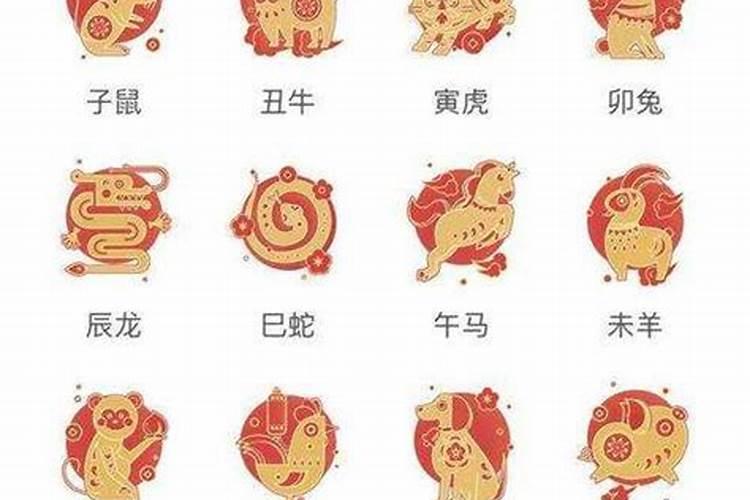 12生肖子丑寅卯是什么样子排列的