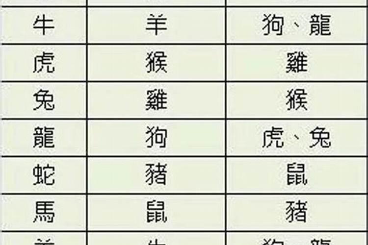 属兔的和什么属相相合相冲呢