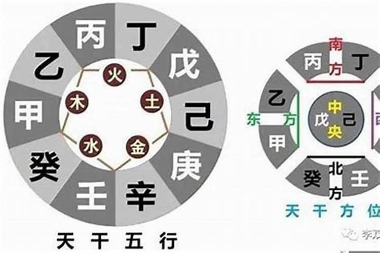 八字命理基础入门地支论讲解大全