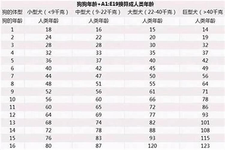 属狗的多大岁数啊