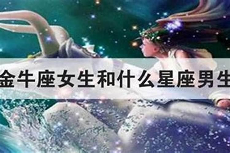 天平女与金牛男配对指数多少