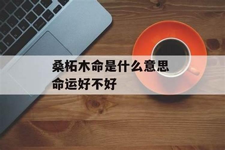 桑柘木命是什么意思