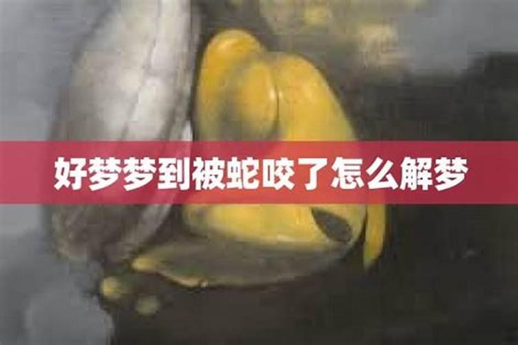 梦到被蛇咬了