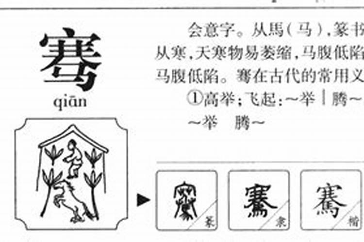 骞字五行属什么