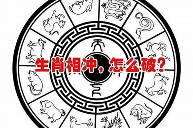 母亲与孩子属相