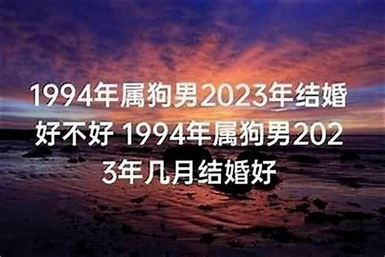 94年属狗人2022年结婚好不好