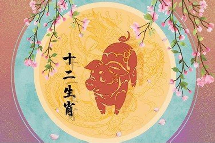 属猪今年年纪