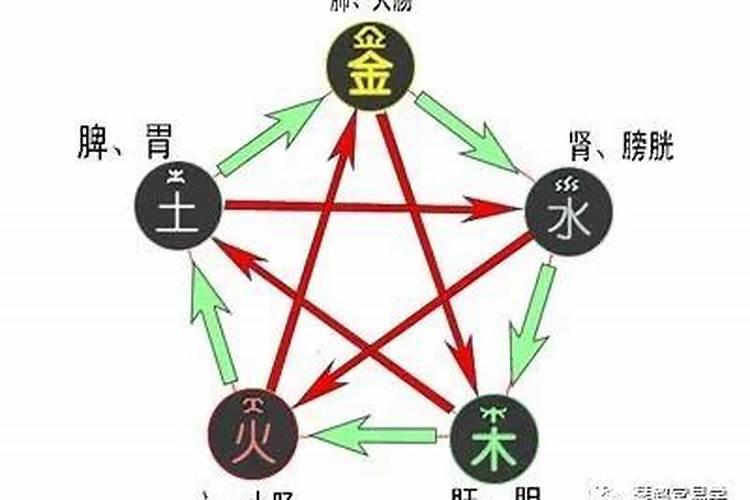 五行缺木不一定补木吧