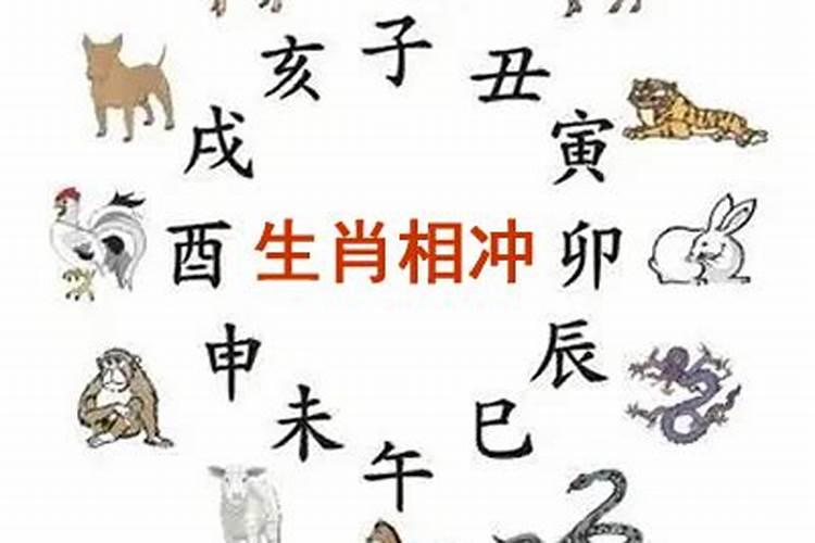 天生一对成伴侣是什么生肖或数字