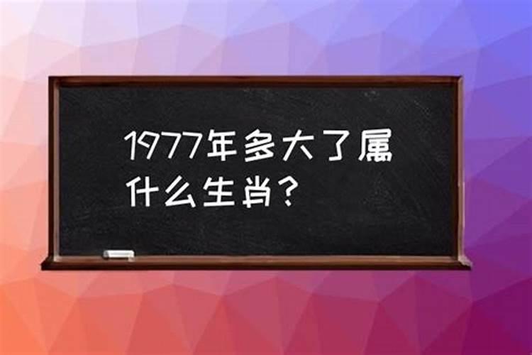 1977年属啥生肖